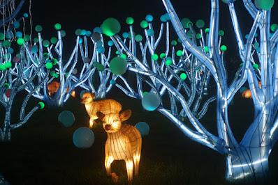 GLOWFARI AT THE OAKLAND ZOO: Panorama of Larger Than Life Animal Lanterns