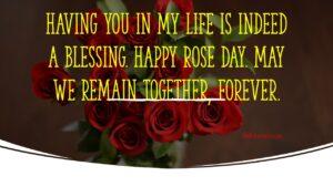Rose Day Quotes,Wishes And Messages