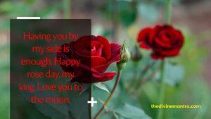 Rose Day Quotes,Wishes And Messages