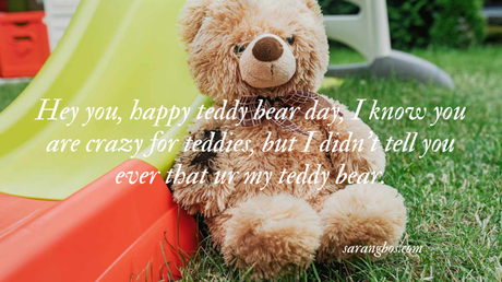 Happy Teddy Day 2023: Best wishes, Quotes  and Messages