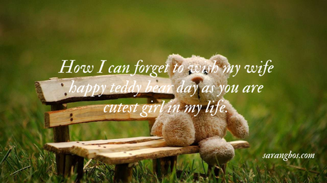 Happy Teddy Day 2023: Best wishes, Quotes  and Messages