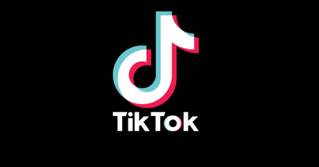 Trollishly: How are TikTok Stories Effective For Building Community?
