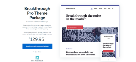 insurance wordpress theme