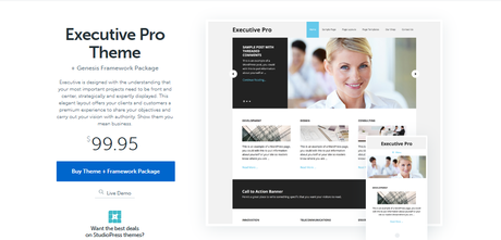 executive pro Insurance WordPress Themes