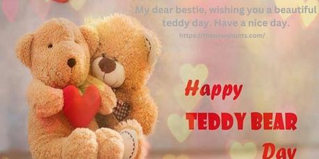 My dear bestie, wishing you a beautiful teddy day. Have a nice day.
