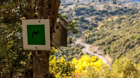 The Ultimate Guide to The Menalon Trail