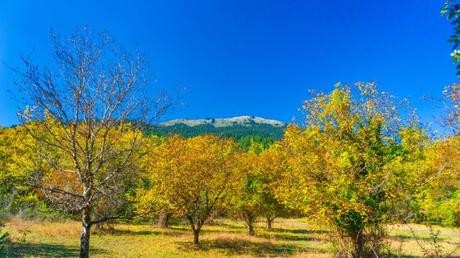 The Ultimate Guide to The Menalon Trail