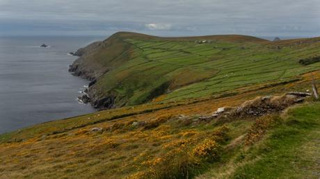 Discover the Best Hikes in Cork: A Guide to Ireland’s Scenic Trails