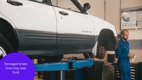 Here’s How You Assess Your Car Brakes Fluid Problems Here’s How You Assess Your Car Brakes Fluid Problems