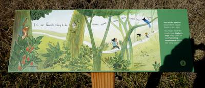 STORY WALK: Reading is Fun Along the Trail, Marin County, California