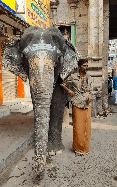 Photoessay: Postcards from the ancient city of Trichy (Tiruchirappalli)