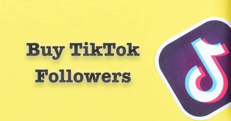 TikTok-ing Your Way To Success: Tips for Growing Your Follower and Likes Count