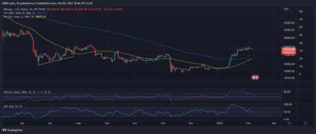 Bitcoin network experiences greatest shock due to NFT transaction