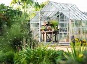 Common Plants Your Greenhouse