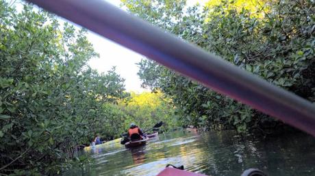 Kayaking Through a Very Narrow Channel in Cancun Mexico
