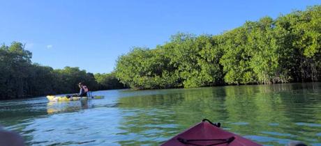 A Kayak Adventure in Cancun Mexico