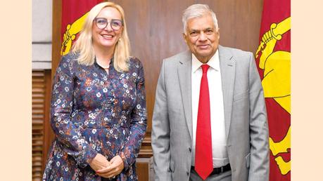 Outgoing Bulgarian Ambassador calls on the President