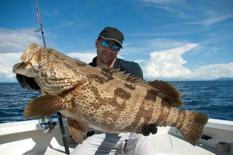 Grouper