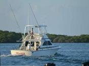 Aruba Fishing Charters: Best Deep