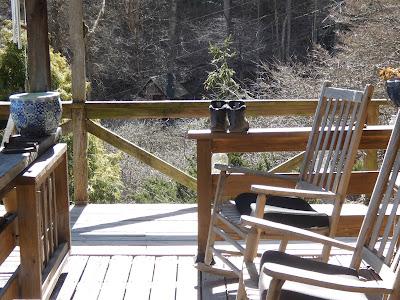 At Random with Downard Dog