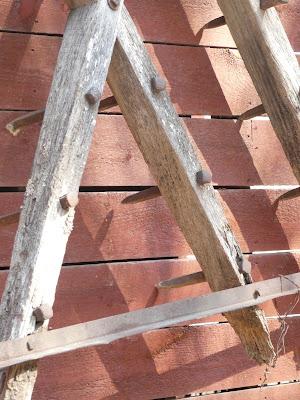 At Random with Downard Dog