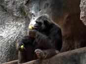 Wanting Have Everything Leads Nowhere