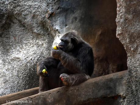 Wanting to have everything ! leads us nowhere !! Wanting to have everything ! leads us nowhere !!