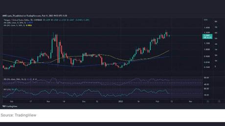 During Super Bowl NFT mint spree, did MATIC whale sentiment change