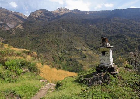 buddhist statue in the Deurali, nepal