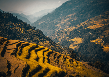 terrain farming in the trekking route of Nepal