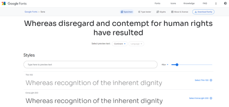 Sora on Google Fonts