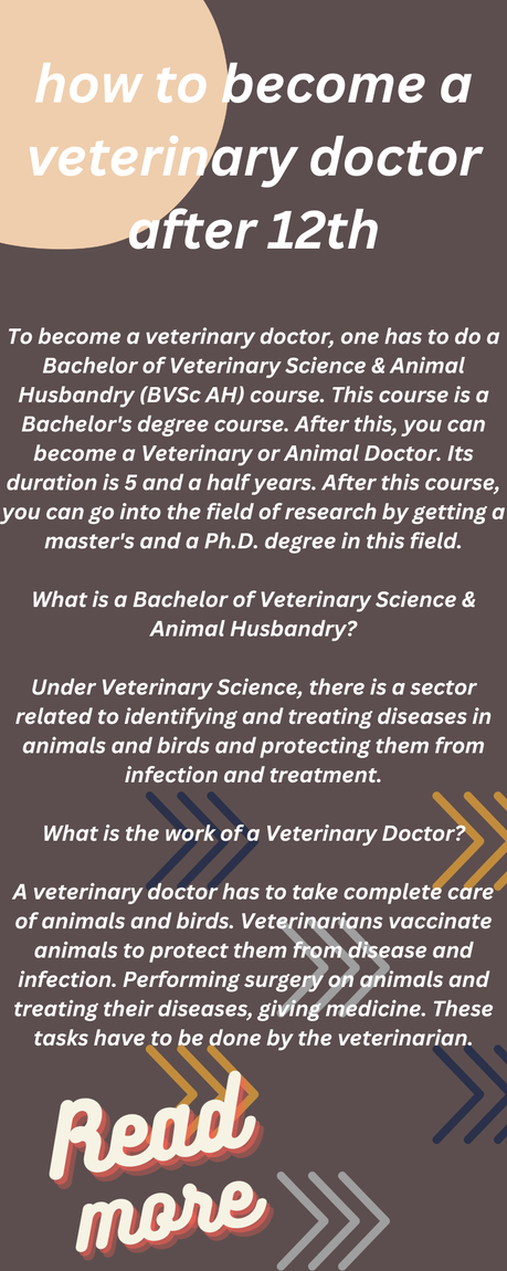 how-to-become-a-veterinary-doctor-after-12th-paperblog