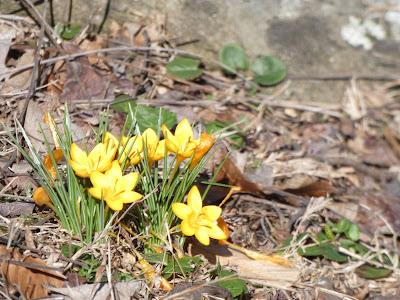 Taciturn Tuesday (Happy Valentine's Day to All of You)