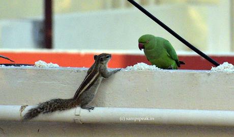 A decent proposal !!