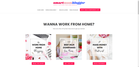 Smart Mom Blogger Blog Review Smart Mom Blogger Blog Review