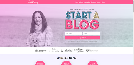 Twins Mommy Blog Review Twins Mommy Blog Review