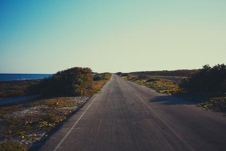 coastal-road-in-cozumel-mexico