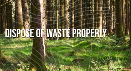 Leave No Trace Principles: The Ultimate Guide for Responsible Hiking