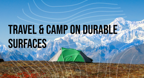 Leave No Trace Principles: The Ultimate Guide for Responsible Hiking