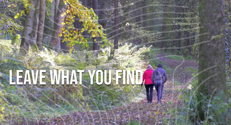 Leave No Trace Principles: The Ultimate Guide for Responsible Hiking