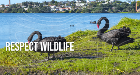 Leave No Trace Principles: The Ultimate Guide for Responsible Hiking