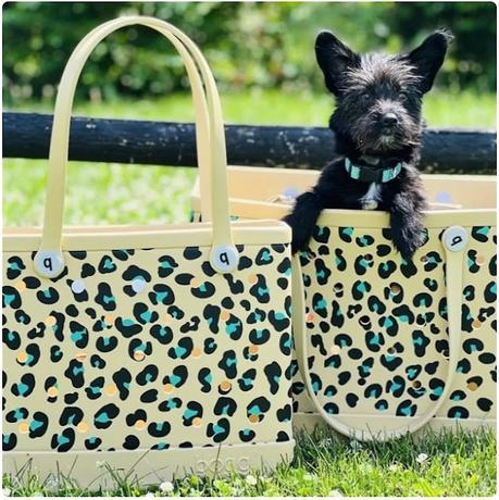 Do we have any Bogg Bag fans??