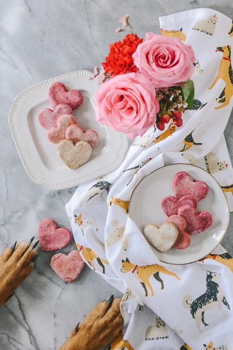 Homemade Valentine’s Dog Treats for Your Furry Valentines