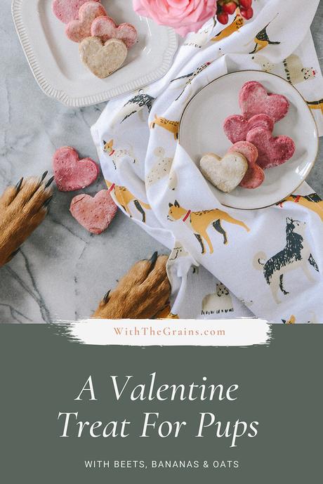 Homemade Valentine’s Dog Treats for Your Furry Valentines