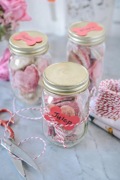 Homemade Valentine’s Dog Treats for Your Furry Valentines