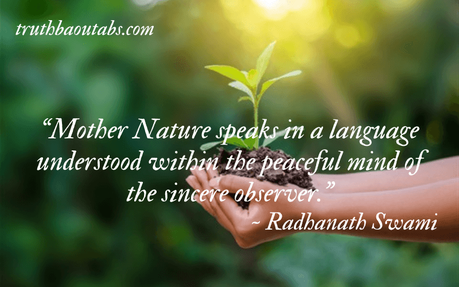 World Environment Day 2023: Nature Quotes and Sayings 