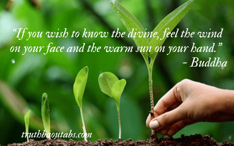 World Environment Day 2023: Nature Quotes and Sayings 