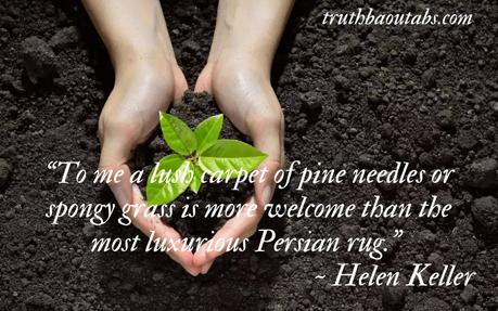 World Environment Day 2023: Nature Quotes and Sayings 