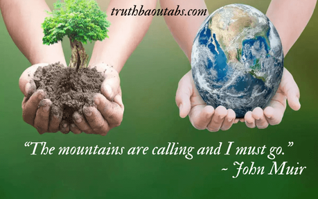 World Environment Day 2023: Nature Quotes and Sayings 