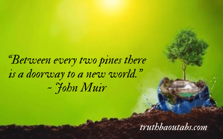 World Environment Day 2023: Nature Quotes and Sayings 